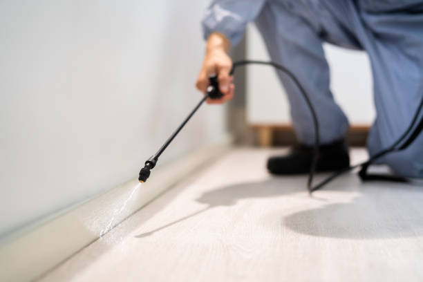 Rodent Entry Point Assessment in Bossier City