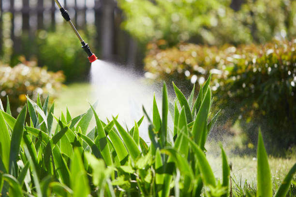 Tamper-Resistant Bait Stations for Rodents in Bossier City