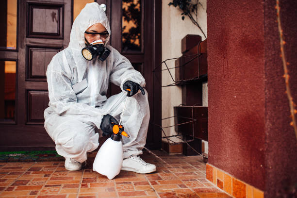 Attic and Crawl Space Rodent Treatment in Bossier City